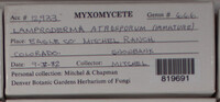 Image Associated With the Occurence